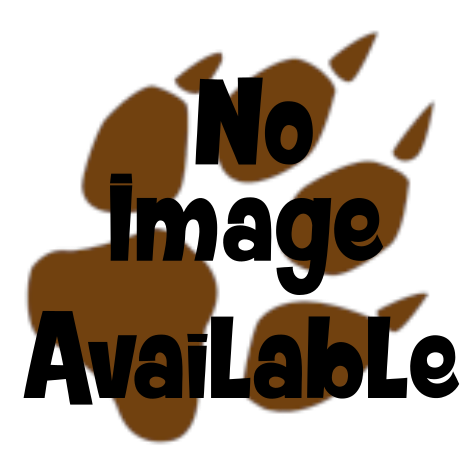 no image available